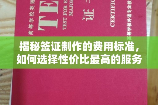 沁阳揭秘签证制作的费用标准，如何选择性价比最高的服务？