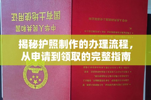 沁阳揭秘护照制作的办理流程，从申请到领取的完整指南